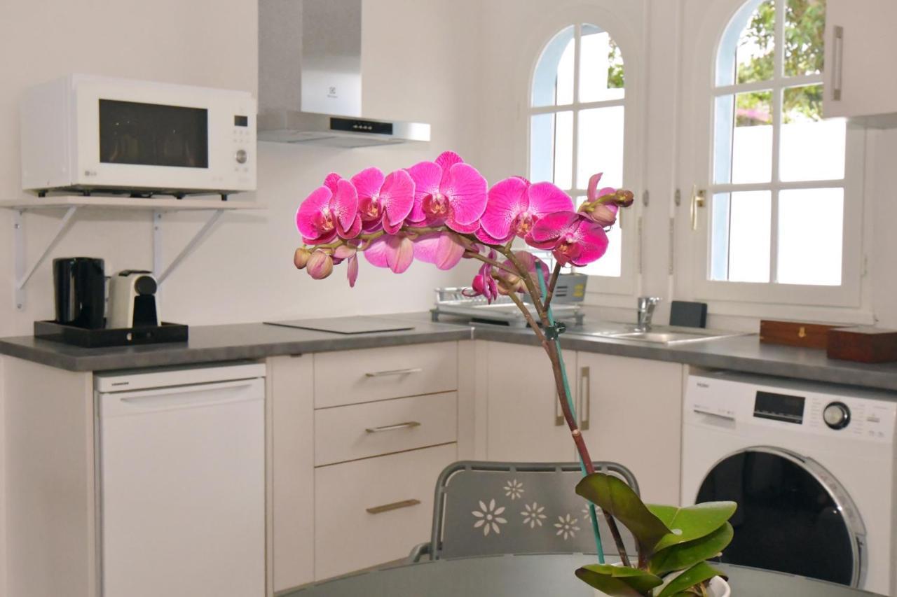 Le Jacaranda Du Guillaume Bed and Breakfast Le Guillaume Buitenkant foto